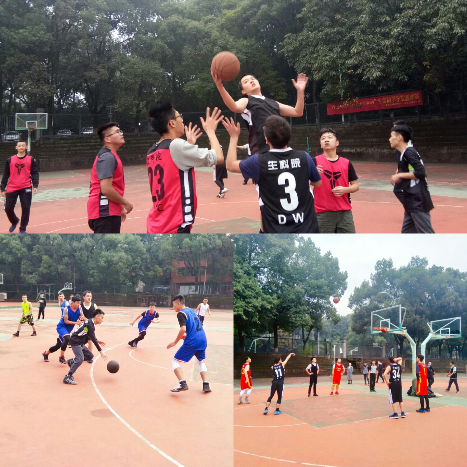 图片1.jpg