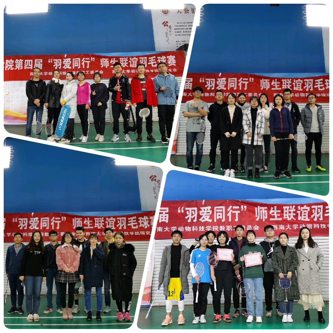 图片二.jpg