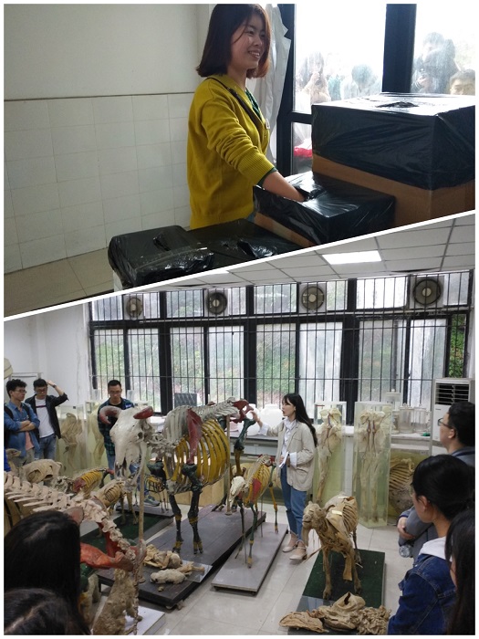 图片二.jpg