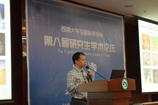图二.JPG