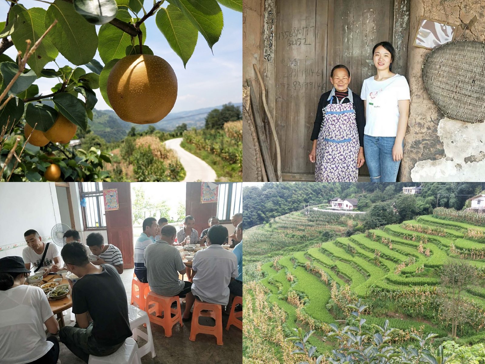 6.杨涛-恒丰乡扶贫攻坚督查.jpg